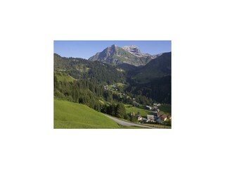 Parzelle Oberboden im Sommer