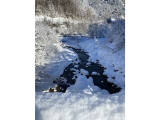 IMG_3596 (1)