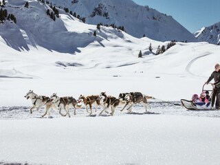 huskey-schlittenfahrt-kinder