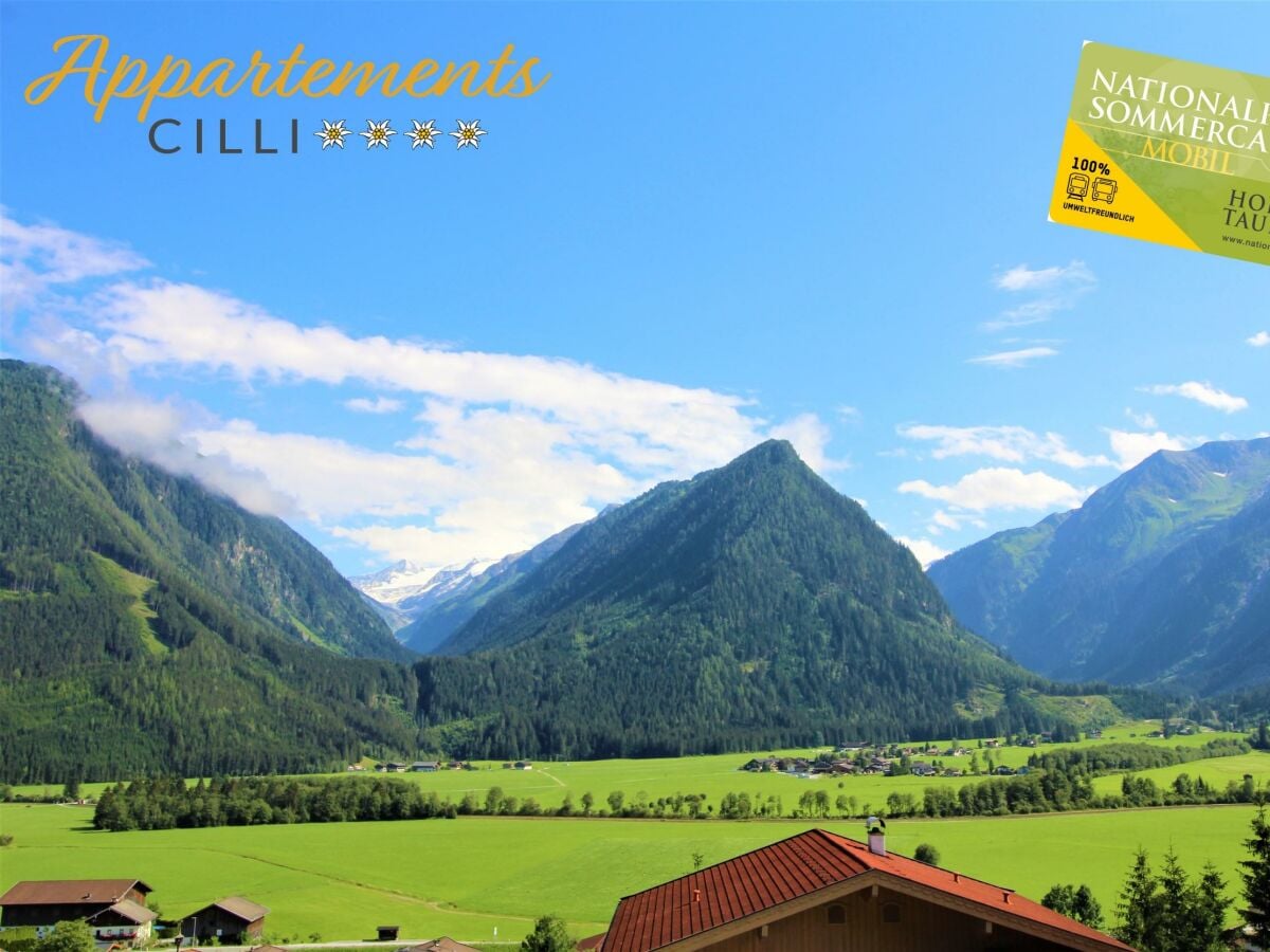 Ausblick Sommer klein