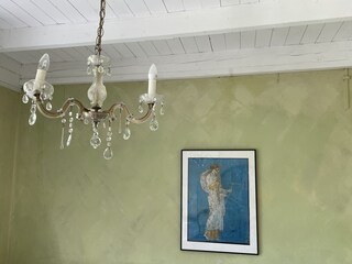 Ferienhaus Saal in Vorpommern Außenaufnahme 20