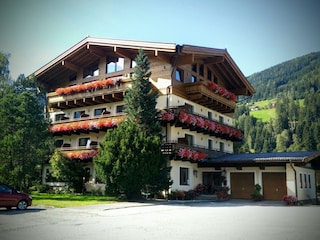 Dorferwirt Sommer