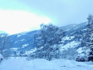 Dorferwirt Winter