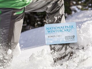 NP Wintercard