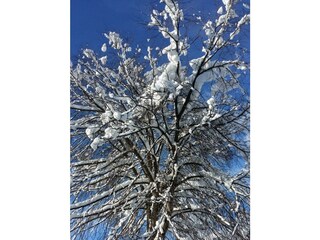 Wintergarten
