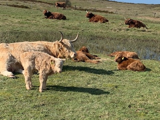 Ferienwohnung Langeoog Umgebung 33