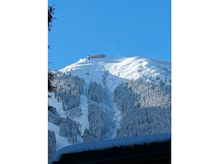 PXL_20231129_125610699