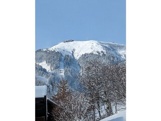 PXL_20231127_104343769