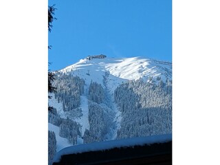 PXL_20231129_125610699