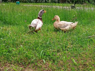 IMG_20210605_115538