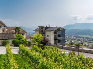 Apartment Kaltern  21