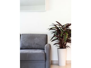 Apartment Kaltern Ausstattung 19