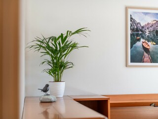 Apartment Kaltern  17