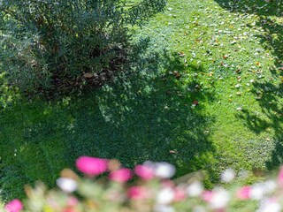 Apartment Tramin Environment 18