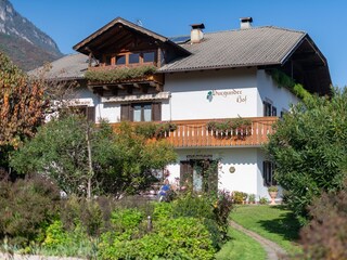 Apartment Tramin Environment 19