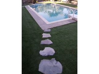 Details des Gartens rund um den Swimmingpool
