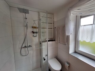 Dusche und WC im modernen Bad