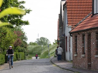 Way to the Dike