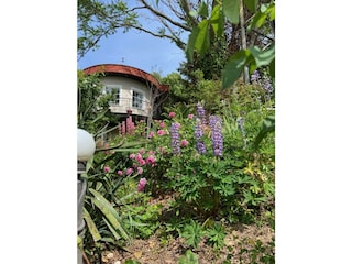 Casa Schindler Garten