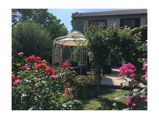 Hinterer Garten