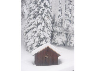 Winterbild
