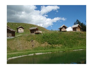 Sommerbild