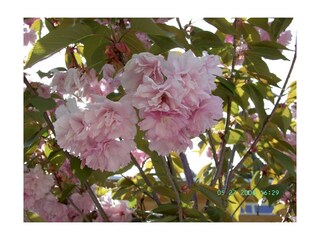 BILD0067
