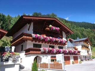 DSC_0229_be2