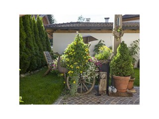 Haus Riedmann Blumen