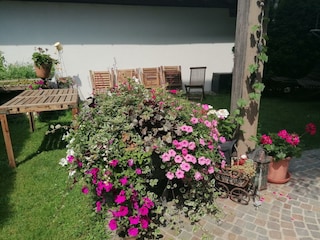 Haus Garten
