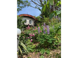 Casa Schindler Garten