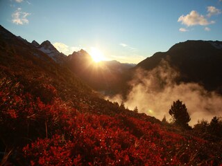 Herbst
