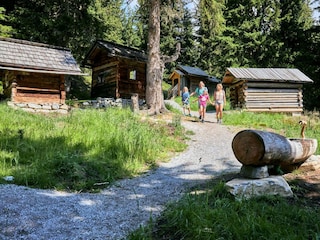 sunny-mountain-2020 (52) KLEIN