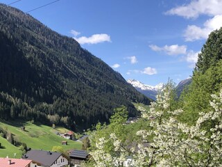 Balkon_Blick_Central