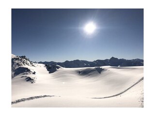 Alblitt_002