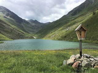 IMG_3816