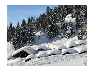 IMG_0174