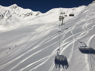 Alblitt_003