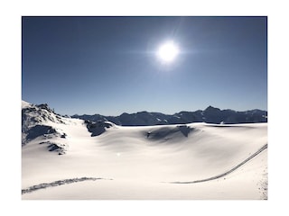 Alblitt_002