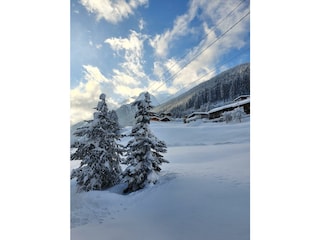 Blick von Hausrückseite in Richtung Westen