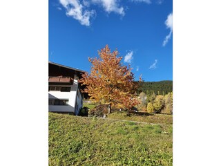 20211022_150625