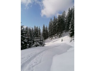 Schneeschuhwanderung