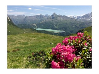 Paznaun im Sommer
