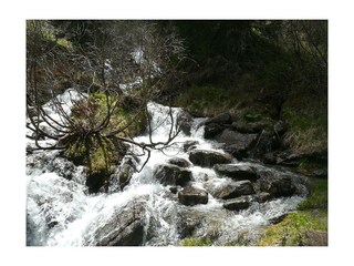 NaturQuellwasser