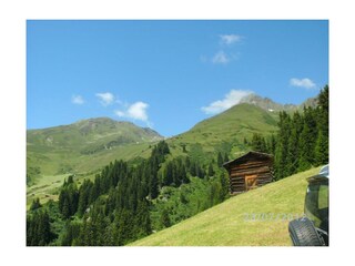 Hoch droben in den Bergwiesen