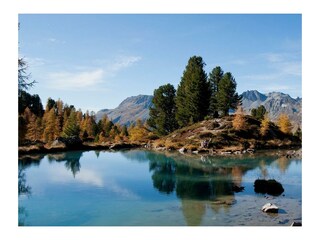 csm_081_neu_ddcd368be7