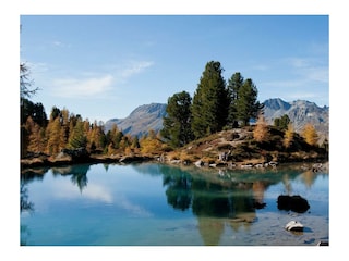 csm_081_neu_ddcd368be7