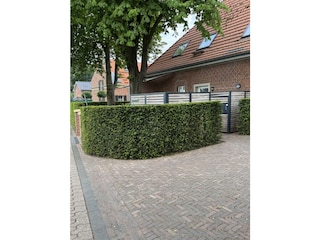 Ferienwohnung Bocholt Außenaufnahme 4