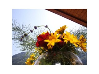 IMG_0081