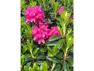 cf79dee6-08c0-4442-9f95-c3e1eee5794f